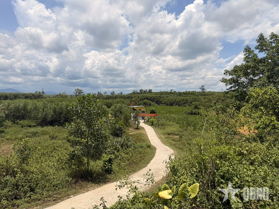 Hồ sơ Câu Nhi - Hành trình giải mã trận đánh - Bài 1: Dấu tích bị chôn vùi hơn nửa thế kỷ